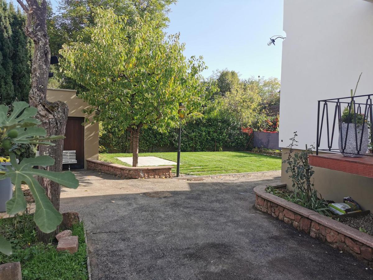 La Maison De Lucie - Grande Maison Ideale En Famille Ou Entre Amis - Jardin - Parking Gratuit Sélestat Exterior foto